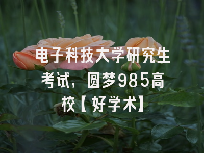 电子科技大学研究生考试，圆梦985高校【好学术】