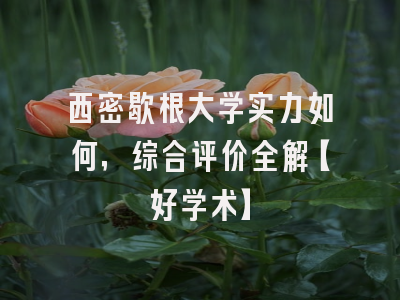 西密歇根大学实力如何，综合评价全解【好学术】
