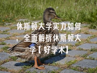 休斯顿大学实力如何，全面解析休斯顿大学【好学术】