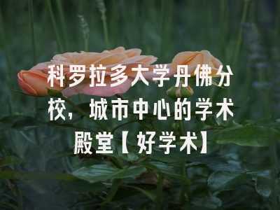 科罗拉多大学丹佛分校，城市中心的学术殿堂【好学术】