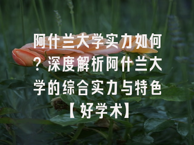 阿什兰大学实力如何？深度解析阿什兰大学的综合实力与特色【好学术】