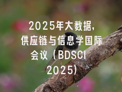 2025年大数据，供应链与信息学国际会议（BDSCI 2025）