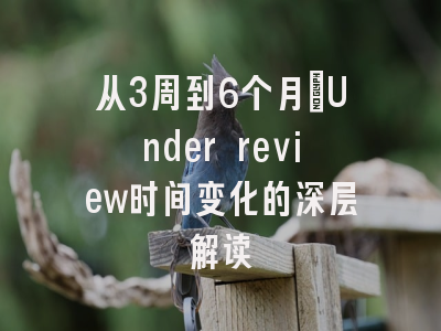 从3周到6个月：Under review时间变化的深层解读