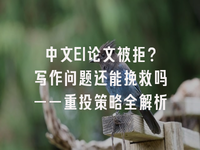 中文EI论文被拒？写作问题还能挽救吗——重投策略全解析
