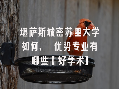 堪萨斯城密苏里大学如何, 优势专业有哪些【好学术】