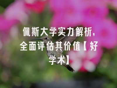 佩斯大学实力解析，全面评估其价值【好学术】