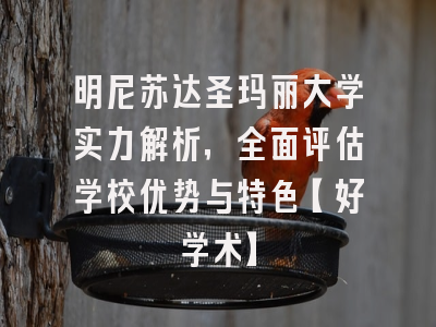 明尼苏达圣玛丽大学实力解析，全面评估学校优势与特色【好学术】