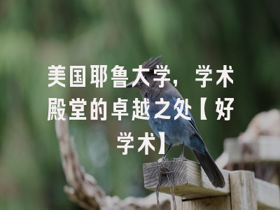 美国耶鲁大学，学术殿堂的卓越之处【好学术】