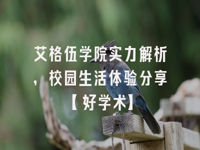 艾格伍学院实力解析，校园生活体验分享【好学术】