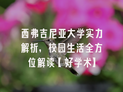 西弗吉尼亚大学实力解析，校园生活全方位解读【好学术】