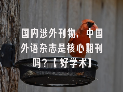国内涉外刊物，中国外语杂志是核心期刊吗？【好学术】