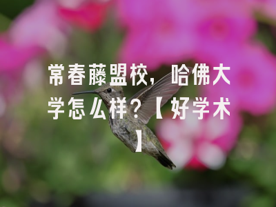 常春藤盟校，哈佛大学怎么样？【好学术】