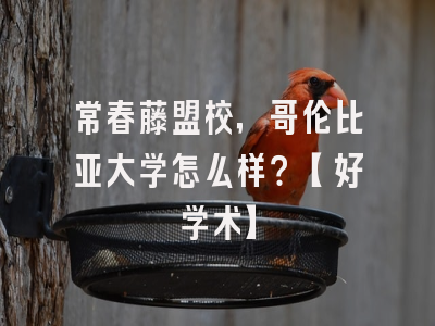 常春藤盟校，哥伦比亚大学怎么样？【好学术】