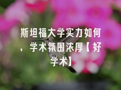 斯坦福大学实力如何，学术氛围浓厚【好学术】