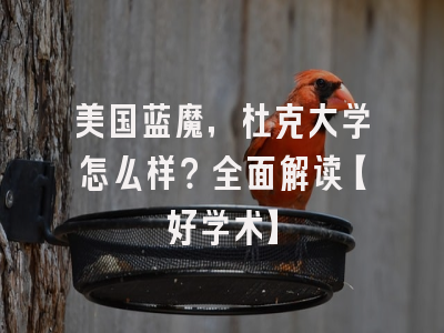 美国蓝魔，杜克大学怎么样？全面解读【好学术】