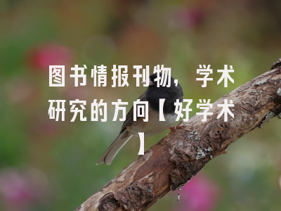 图书情报刊物，学术研究的方向【好学术】