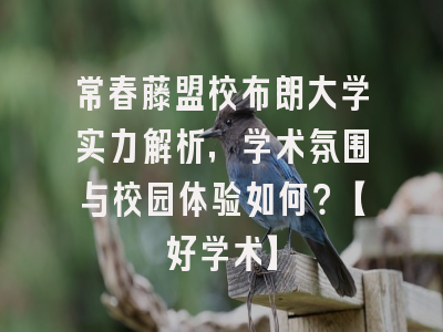 常春藤盟校布朗大学实力解析，学术氛围与校园体验如何？【好学术】