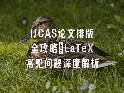 IJCAS论文排版全攻略：LaTeX常见问题深度解析