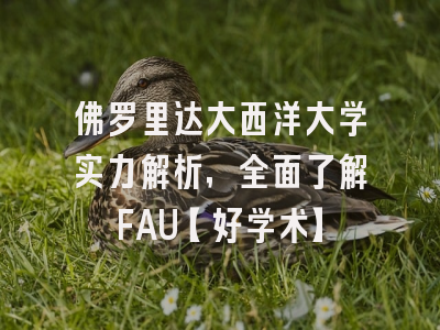 佛罗里达大西洋大学实力解析，全面了解FAU【好学术】