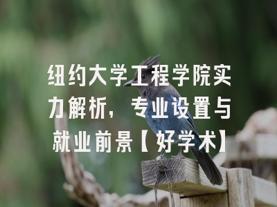 纽约大学工程学院实力解析，专业设置与就业前景【好学术】