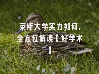 莱斯大学实力如何，全方位解读【好学术】