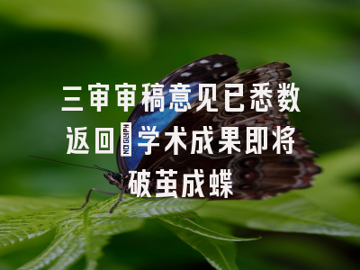 三审审稿意见已悉数返回_学术成果即将破茧成蝶