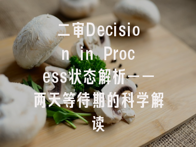 二审Decision in Process状态解析——两天等待期的科学解读