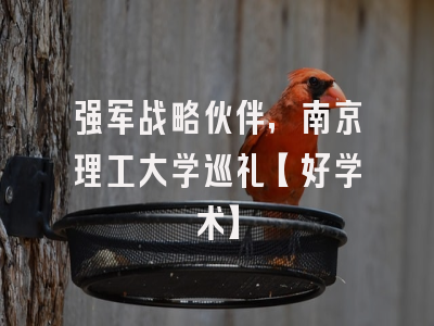 强军战略伙伴，南京理工大学巡礼【好学术】