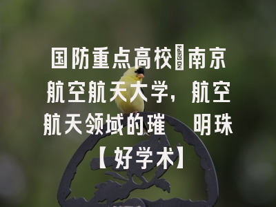 国防重点高校：南京航空航天大学，航空航天领域的璀璨明珠【好学术】