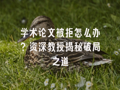 学术论文被拒怎么办？资深教授揭秘破局之道