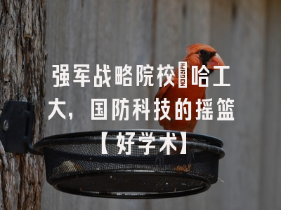 强军战略院校：哈工大，国防科技的摇篮【好学术】