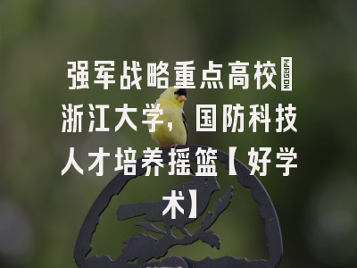 强军战略重点高校：浙江大学，国防科技人才培养摇篮【好学术】