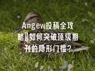 Angew投稿全攻略：如何突破顶级期刊的隐形门槛？