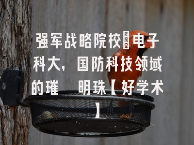 强军战略院校：电子科大，国防科技领域的璀璨明珠【好学术】