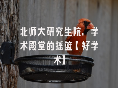 北师大研究生院，学术殿堂的摇篮【好学术】