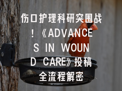 伤口护理科研突围战！《ADVANCES IN WOUND CARE》投稿全流程解密