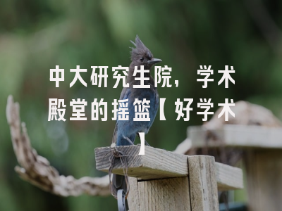 中大研究生院，学术殿堂的摇篮【好学术】