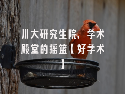 川大研究生院，学术殿堂的摇篮【好学术】