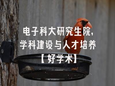 电子科大研究生院，学科建设与人才培养【好学术】
