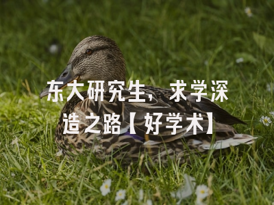东大研究生，求学深造之路【好学术】