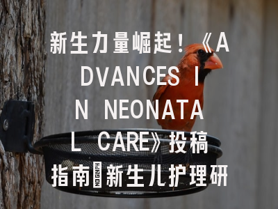 新生力量崛起！《ADVANCES IN NEONATAL CARE》投稿指南_新生儿护理研究突围战