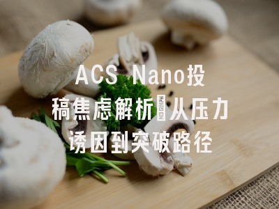 ACS Nano投稿焦虑解析_从压力诱因到突破路径