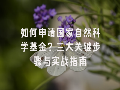 如何申请国家自然科学基金？三大关键步骤与实战指南