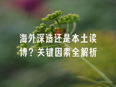 海外深造还是本土读博？关键因素全解析