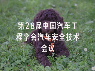 第28届中国汽车工程学会汽车安全技术会议
