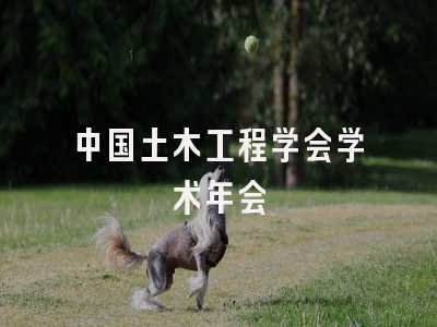 中国土木工程学会学术年会