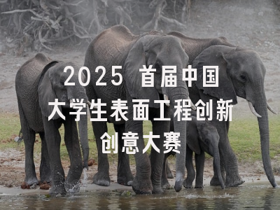 2025 首届中国大学生表面工程创新创意大赛