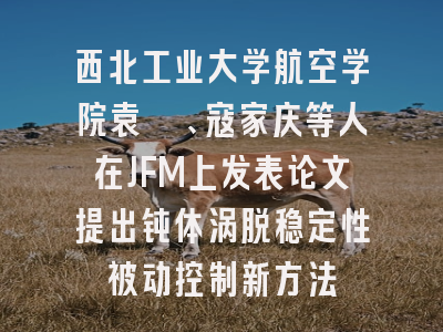 西北工业大学航空学院袁昊、寇家庆等人在JFM上发表论文提出钝体涡脱稳定性被动控制新方法