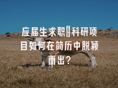 应届生求职：科研项目如何在简历中脱颖而出？