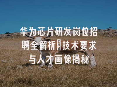 华为芯片研发岗位招聘全解析_技术要求与人才画像揭秘